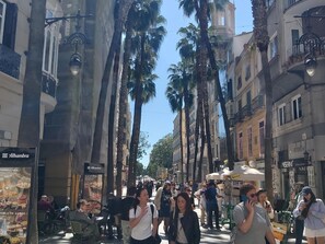 Miscellaneous - Boutique Suites in Central Malaga, Modern and Comfortable (Málaga)