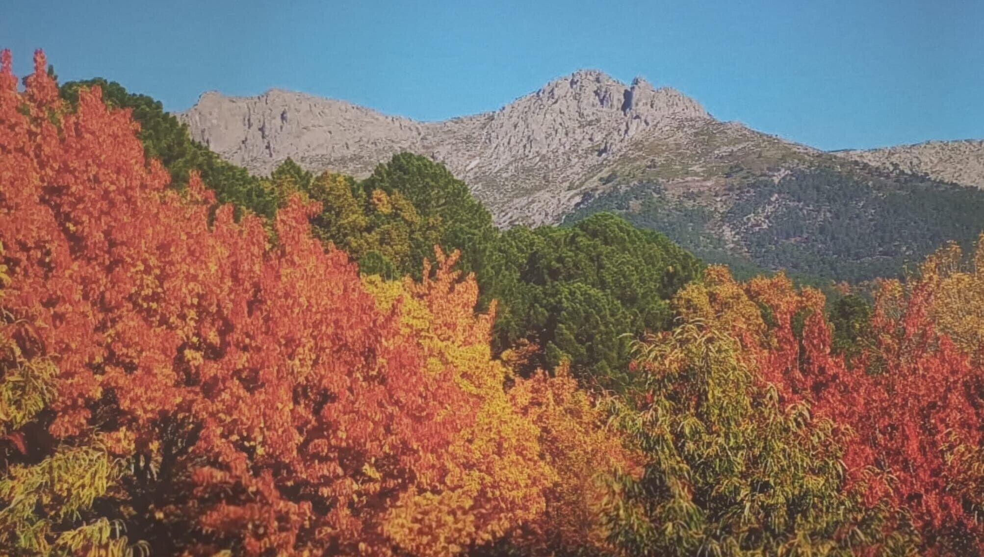 Un paisaje montañoso con follaje otoñal.