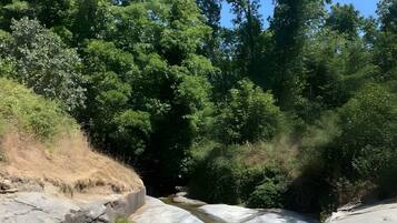 Paisaje natural con un río, un puente de madera y vegetación circundante.