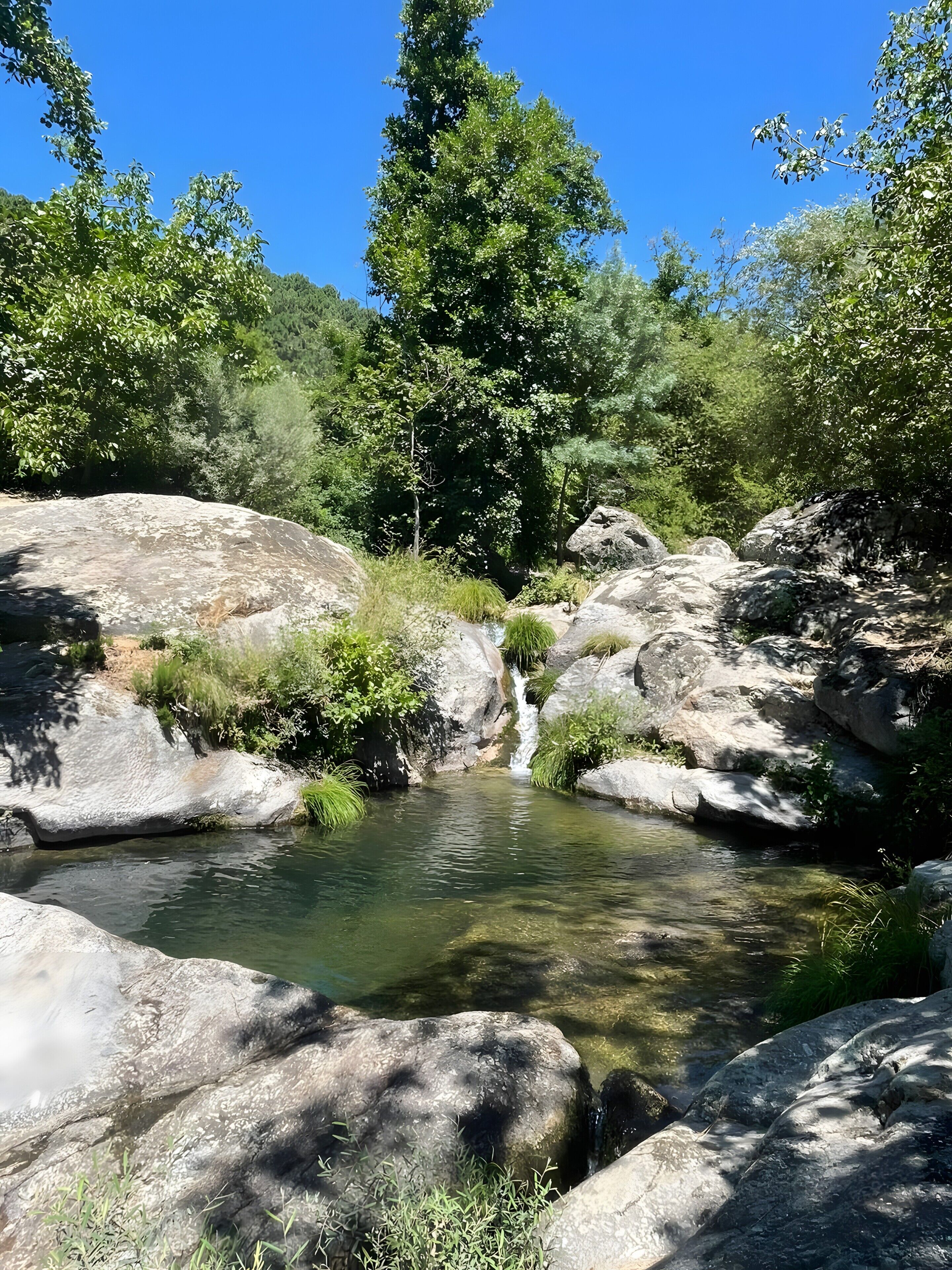 Un paysage naturel caractérisé par un ruisseau aux eaux claires, de gros rochers et une végétation luxuriante.