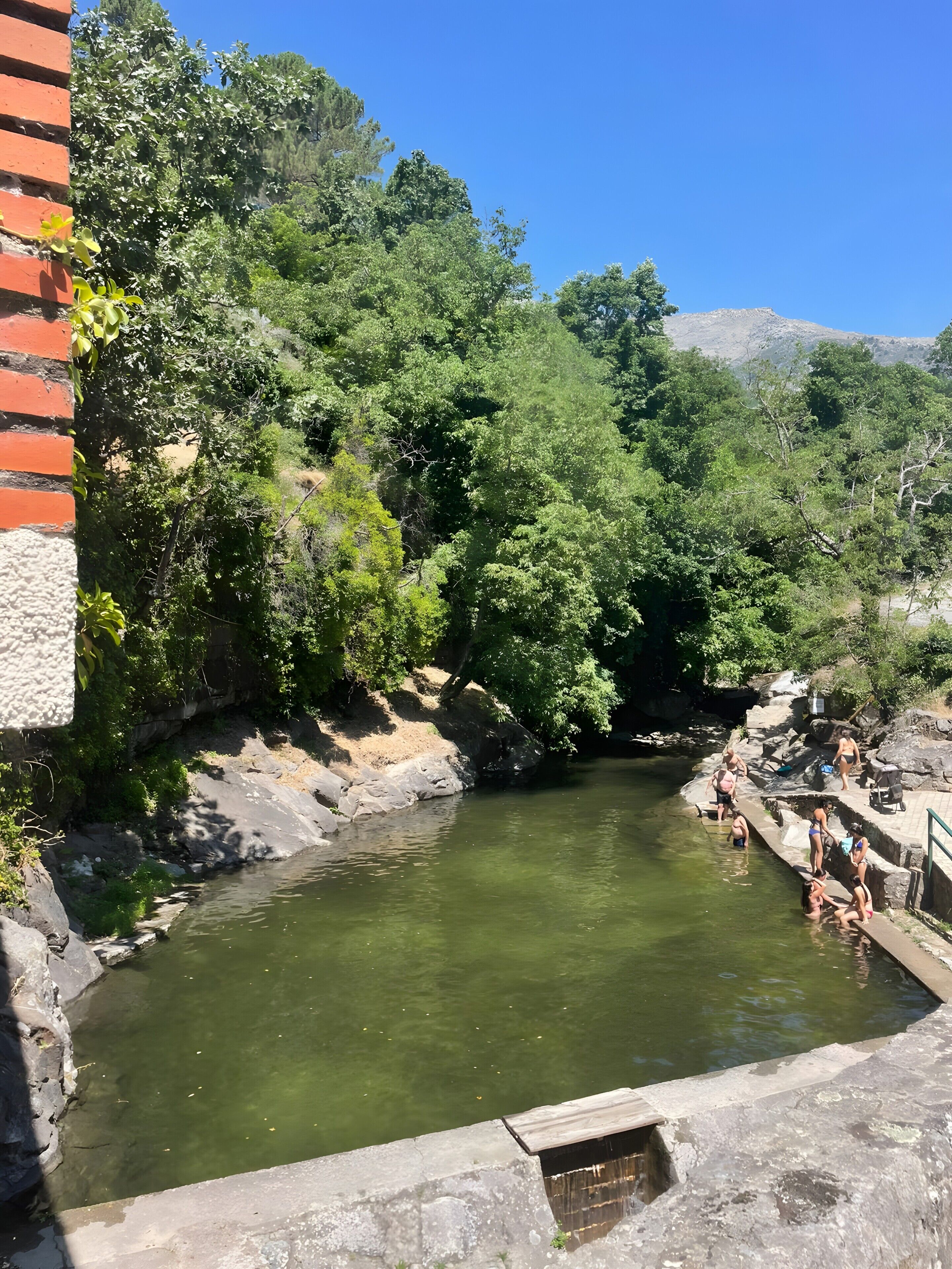 Una piscina natural rodeada de árboles y un muro de piedra.