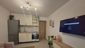 아파트 (One Bedroom Apartment with Garden Vie) | 거실