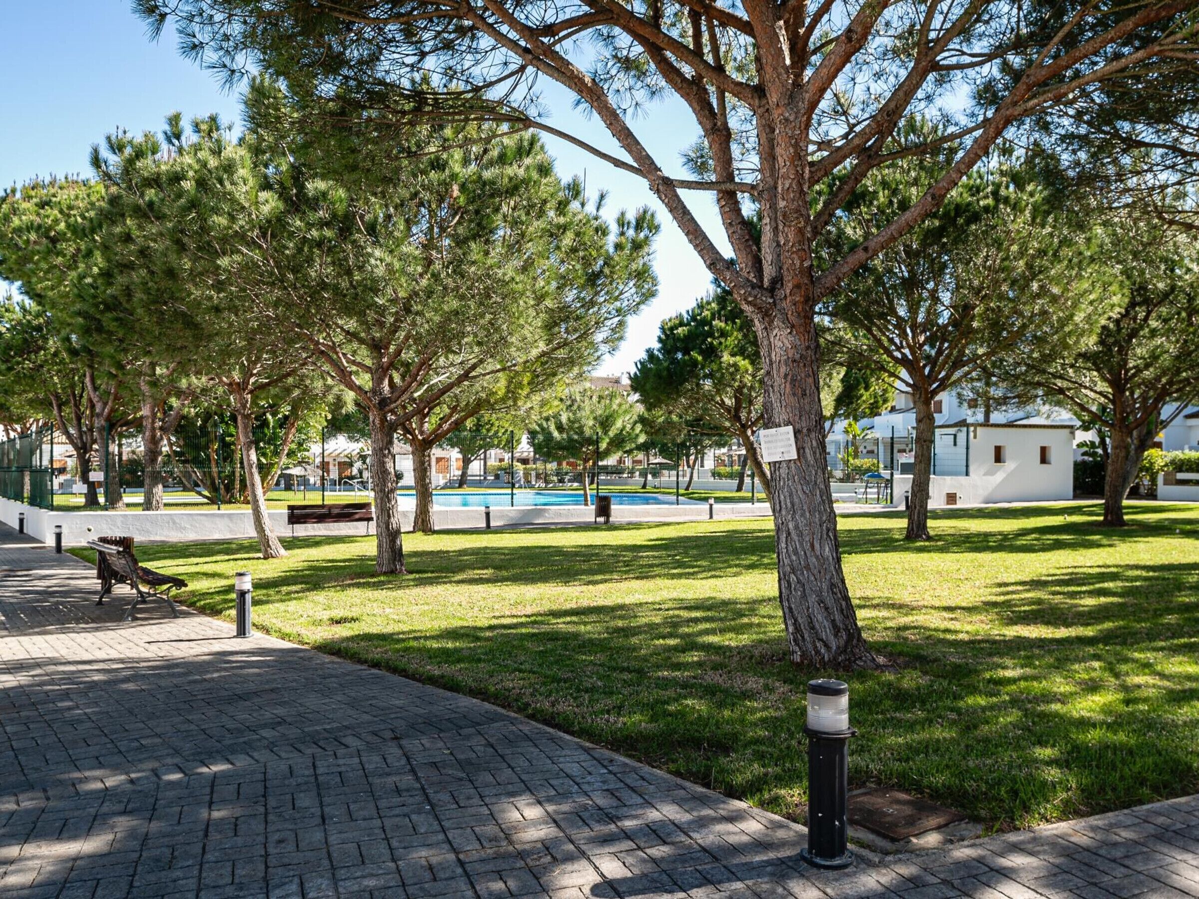 Un camino pavimentado con bancos, rodeado de árboles y una piscina al fondo.