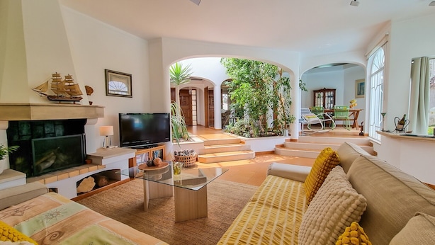Uma sala de estar com televisão, sofá e lareira. Há plantas e uma área de jantar ao fundo.