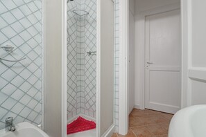 Shower, hair dryer, towels