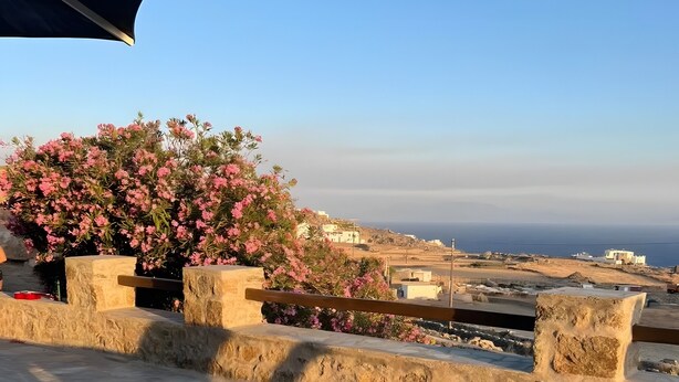 Une terrasse en pierre avec des chaises longues, un arbuste aux fleurs roses et une vue sur la mer et les bâtiments.