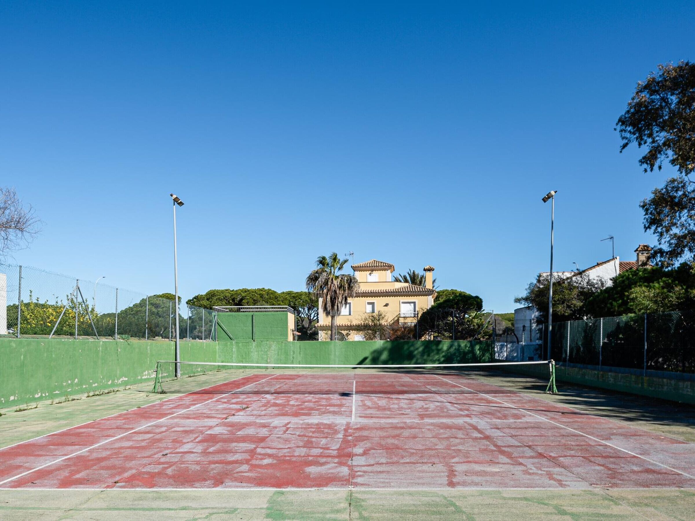 Una cancha de tenis al aire libre con una red, rodeada de vallas verdes y palmeras.