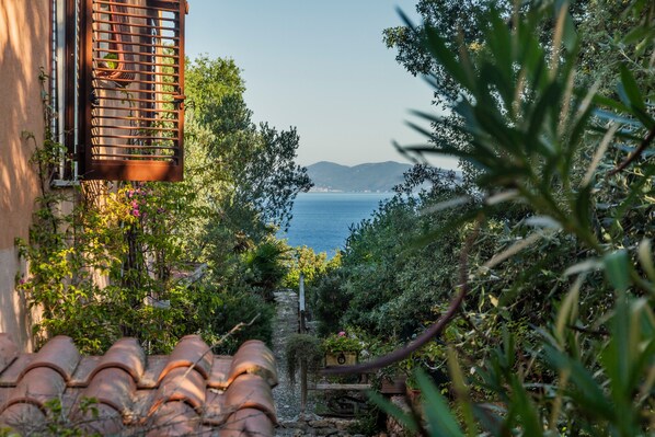 Un sendero en un jardín que lleva a un edificio con vistas al mar y a las montañas.