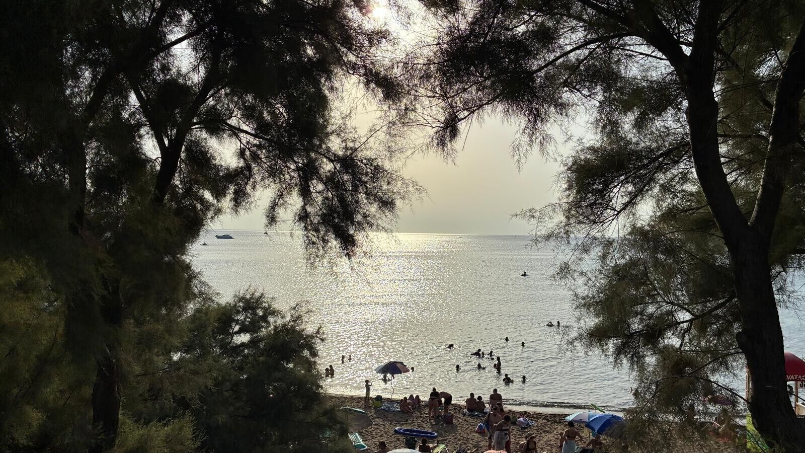 Uma praia com pessoas nadando e tomando sol, cercada por árvores.