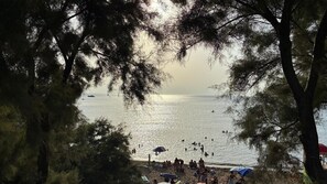 A beach scene with people swimming and sunbathing, surrounded by trees.