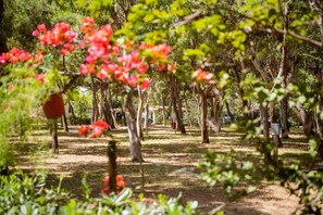 Terrein van de accommodatie