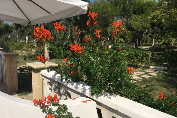 Details aan de buitenkant