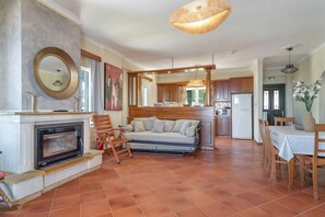 Un'ampia zona giorno con camino, divano, tavolo da pranzo e cucina sullo sfondo.
