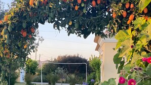 المنطقة المحيطة بالمنشأة