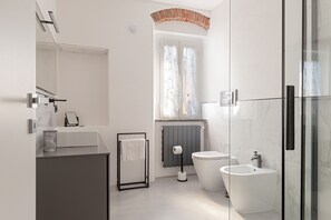 Shower, hair dryer, towels