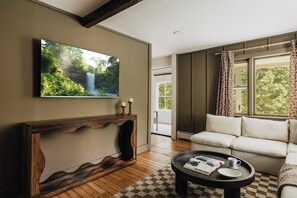 TV connectée, cheminée, espaces bureaux