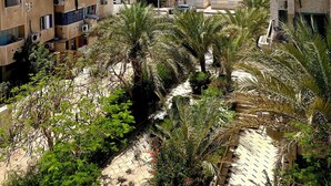 A coastal residential area with buildings featuring satellite dishes, palm trees, and a clear view of the sea. - Red Sea Breeze · Modern 1BR in Hadaba · Sharm El Sheikh (South Sinai Governorate)