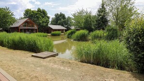 Une terrasse en bois avec un petit étang et une végétation luxuriante.