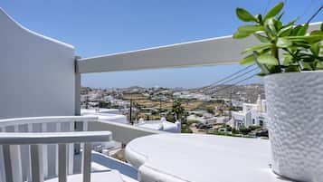 Vista del balcón