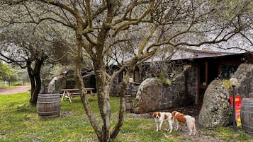 Parco della struttura