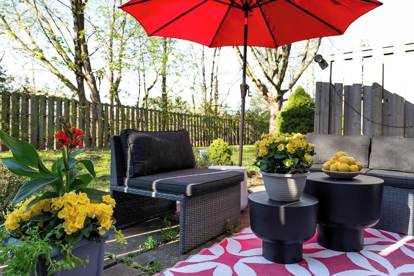 テラス / パティオ