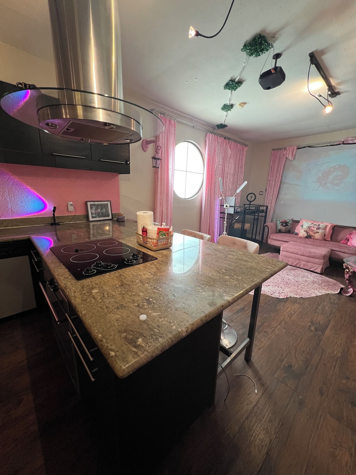 Photo 23 of Party/Pet friendly Warehouse in Montrose. 2bedrooms 2 full baths. Fun location.