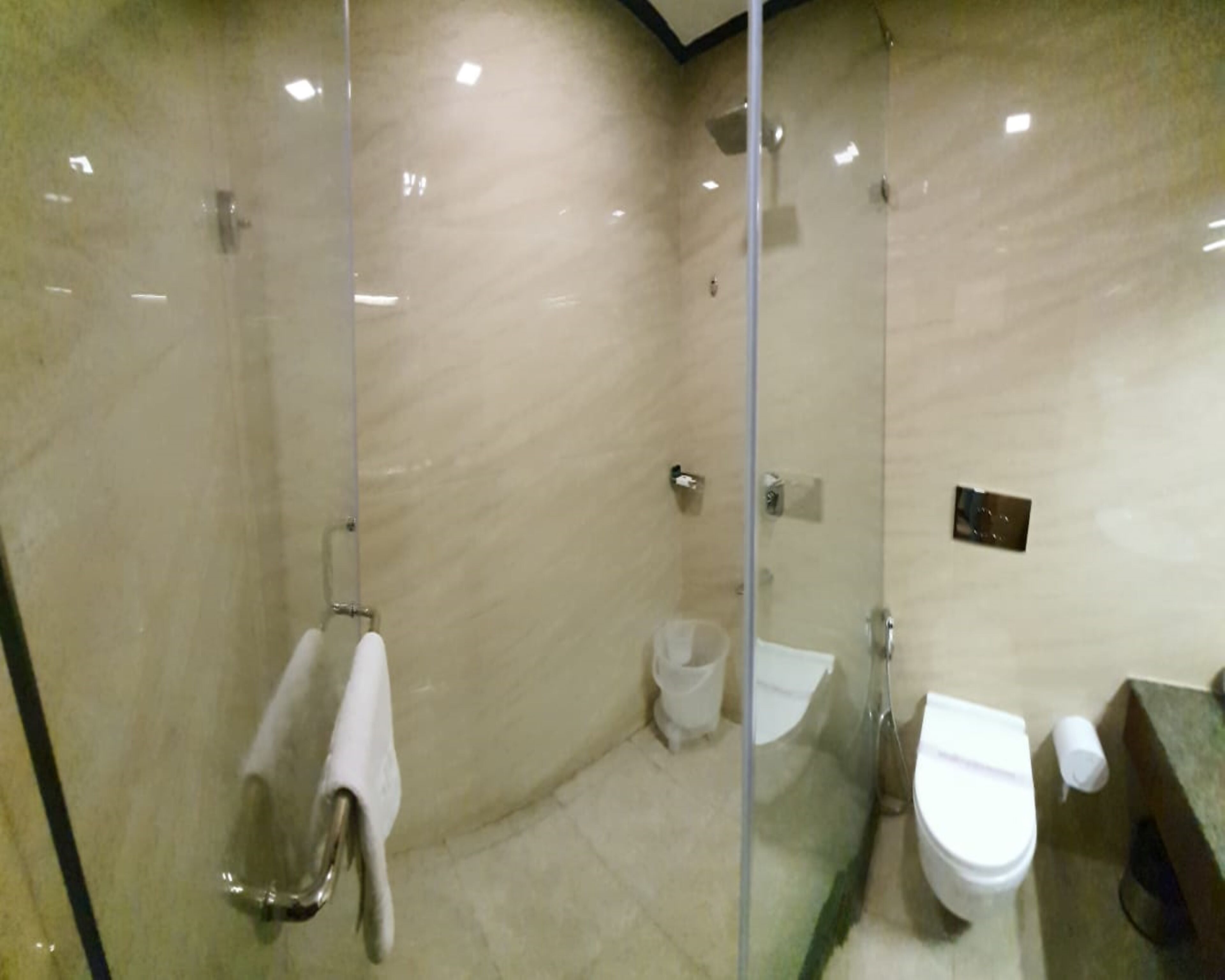 A glass-enclosed shower area with a toilet and sink.