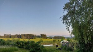 Un champ herbeux avec un petit étang, des arbres et une structure en bois.
