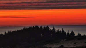 Un coucher de soleil sur un paysage boisé, avec une vue dégagée sur l’horizon.