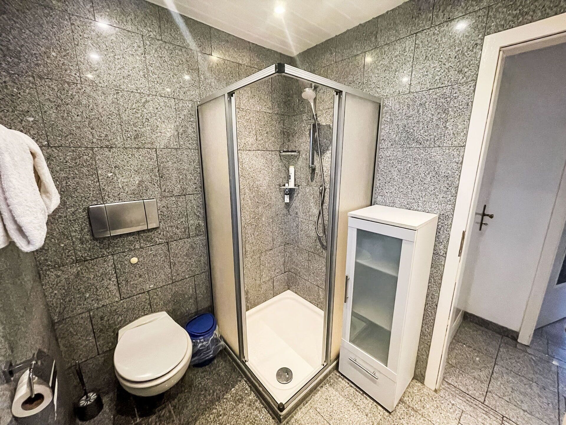 A modern bathroom with a glass-enclosed shower, a toilet, and a cabinet.
