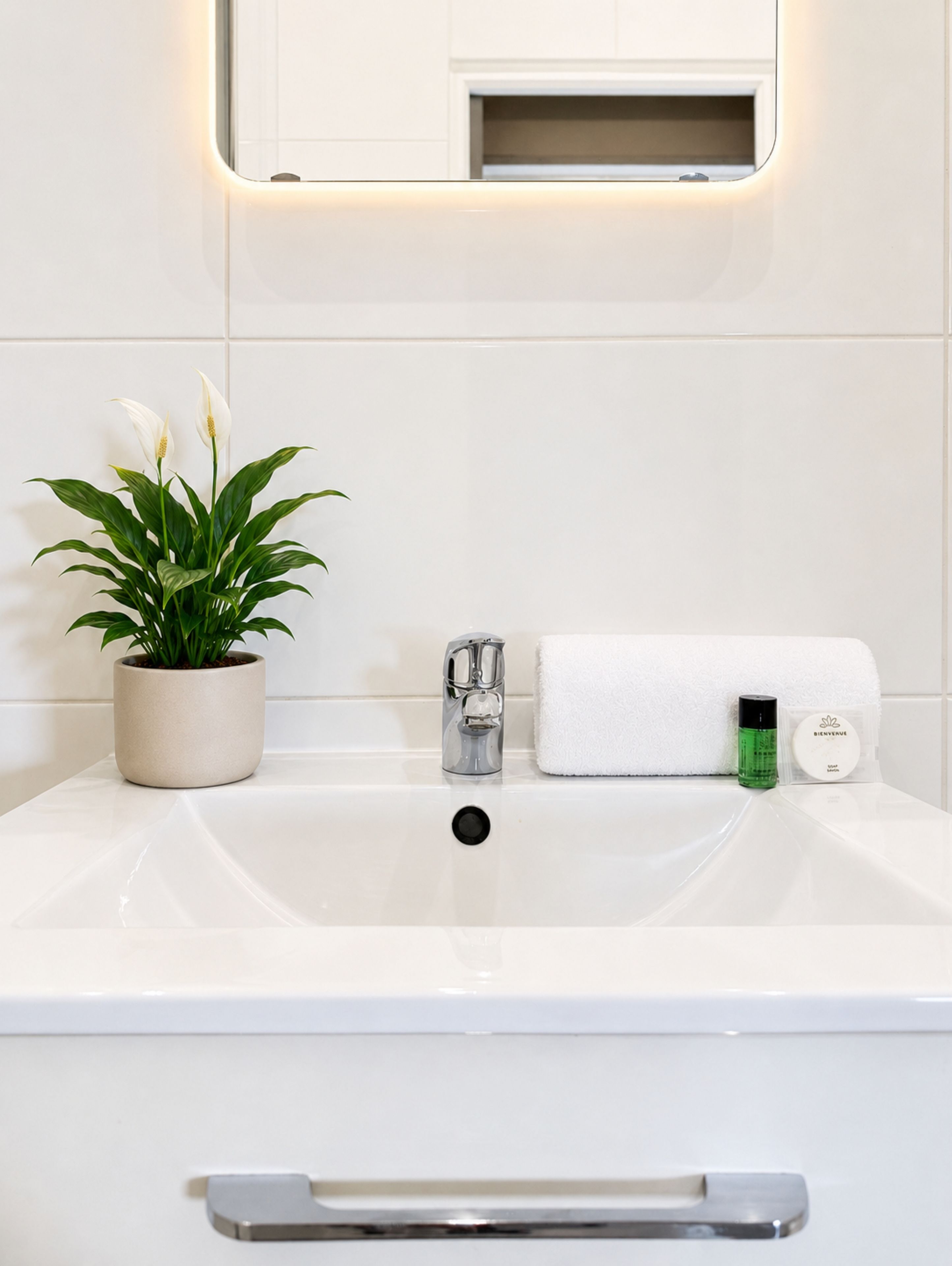 Un baño con un lavamanos blanco, una planta en maceta, una toalla y una botella de jabón de manos.