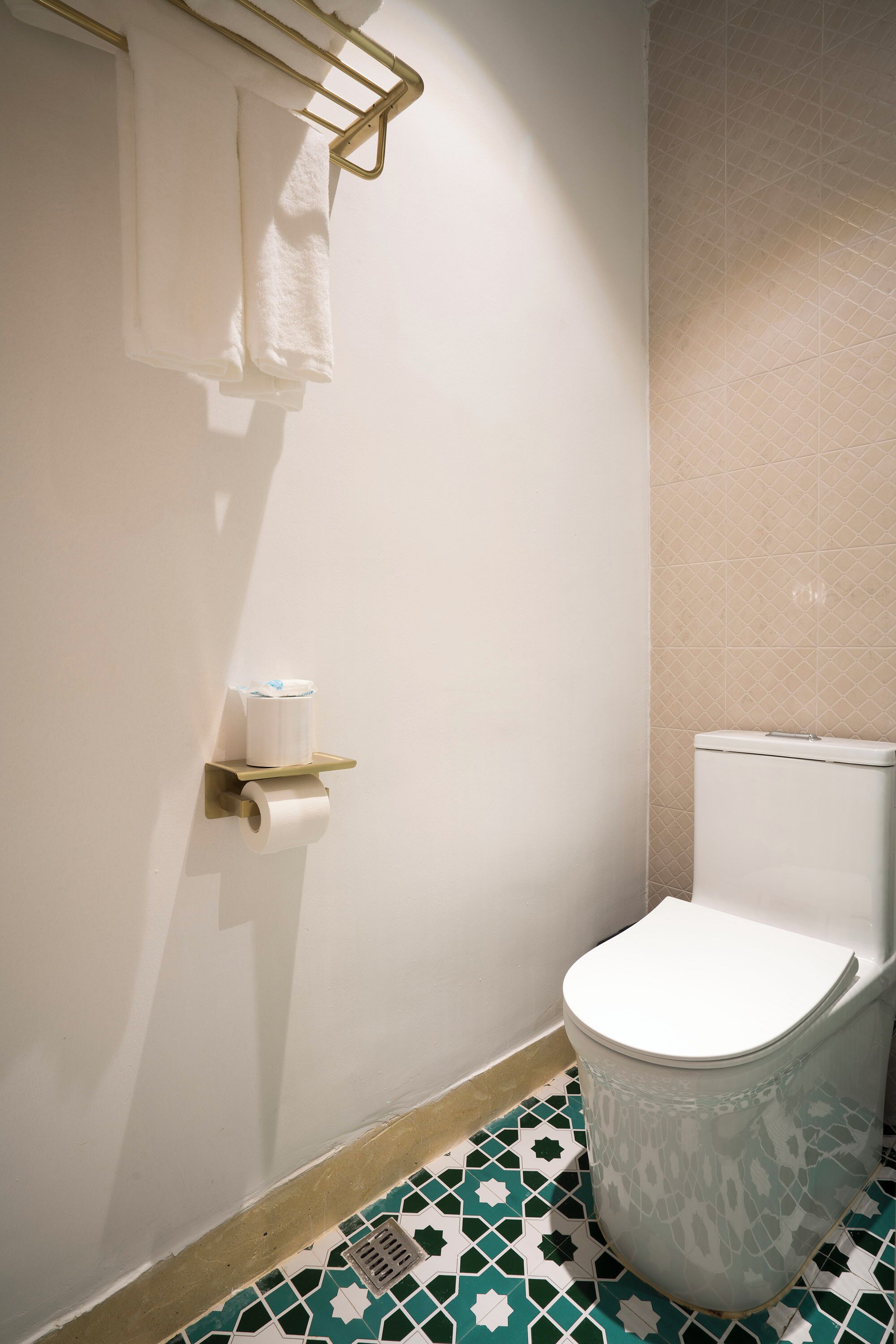 Een badkamer met een toilet, een handdoekhouder en een toiletrol.