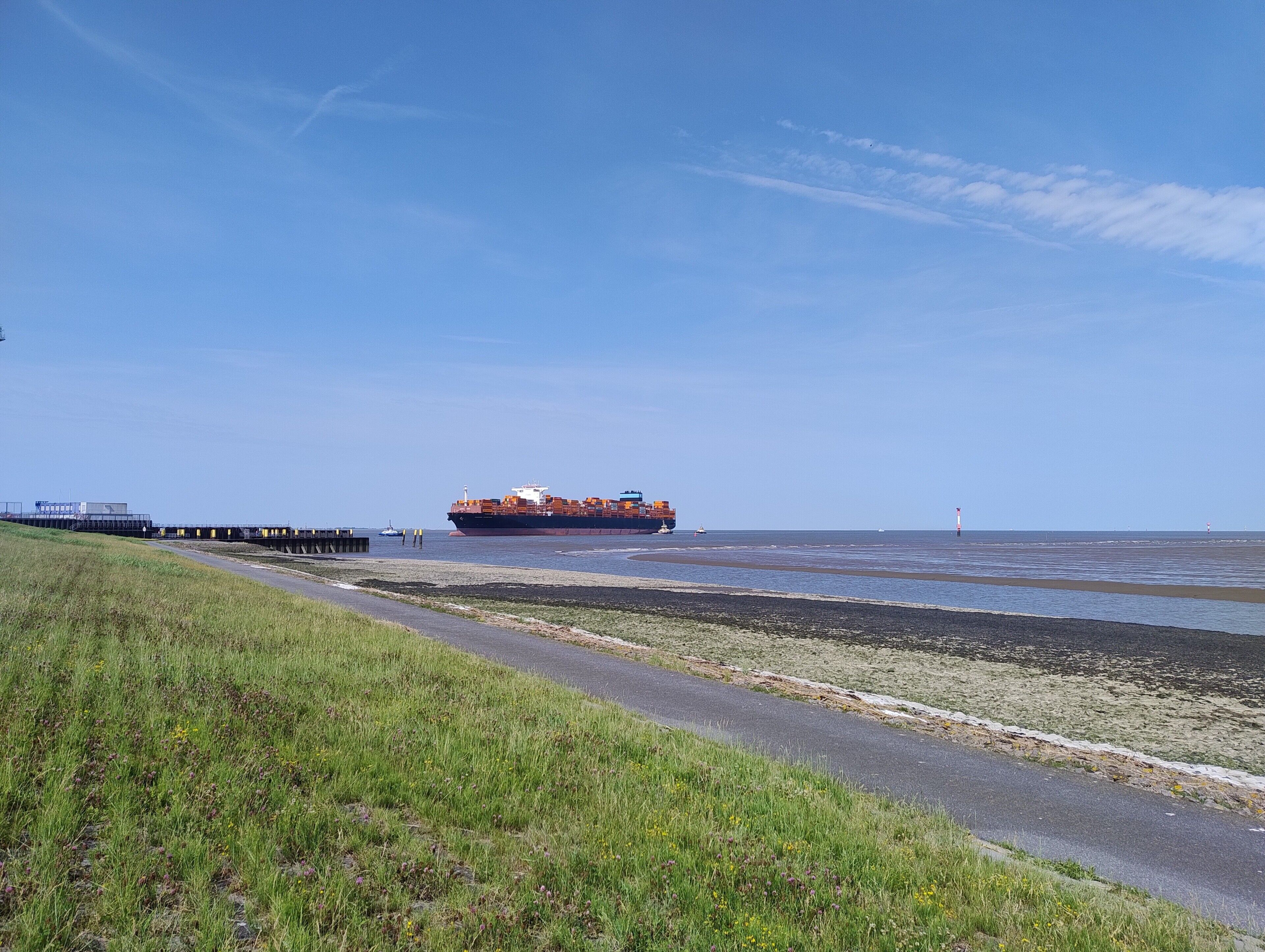 A coastal scene with a large cargo ship near the shore, a pier, and a grassy area with a path.