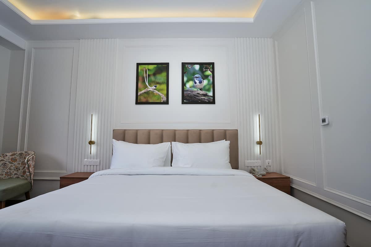 Roupas de cama de algodão egípcio, roupas de cama premium