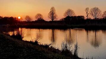 Ein Sonnenuntergang über ruhigem Wasser, mit gegen den Himmel abgesetzten Bäumen.