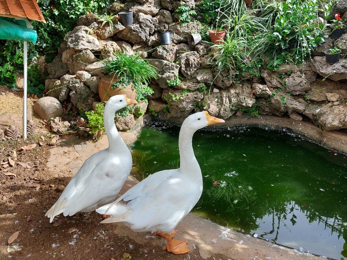 オーナーのプロフィール画像