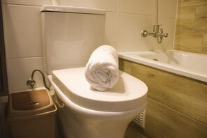 Dusche, Haartrockner, Handtücher, Shampoo