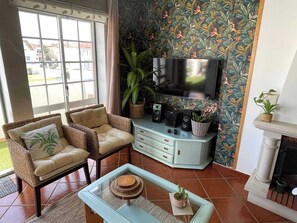 TV