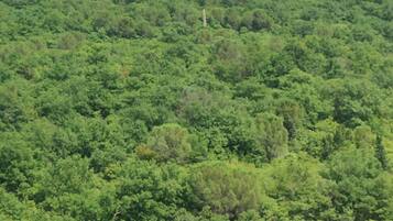 A mountainous landscape with dense green vegetation and a rocky hilltop.