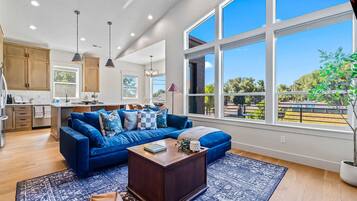 TV, fireplace, offices