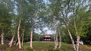 A lakeside cabin with birch trees, a dock, and a grassy area.