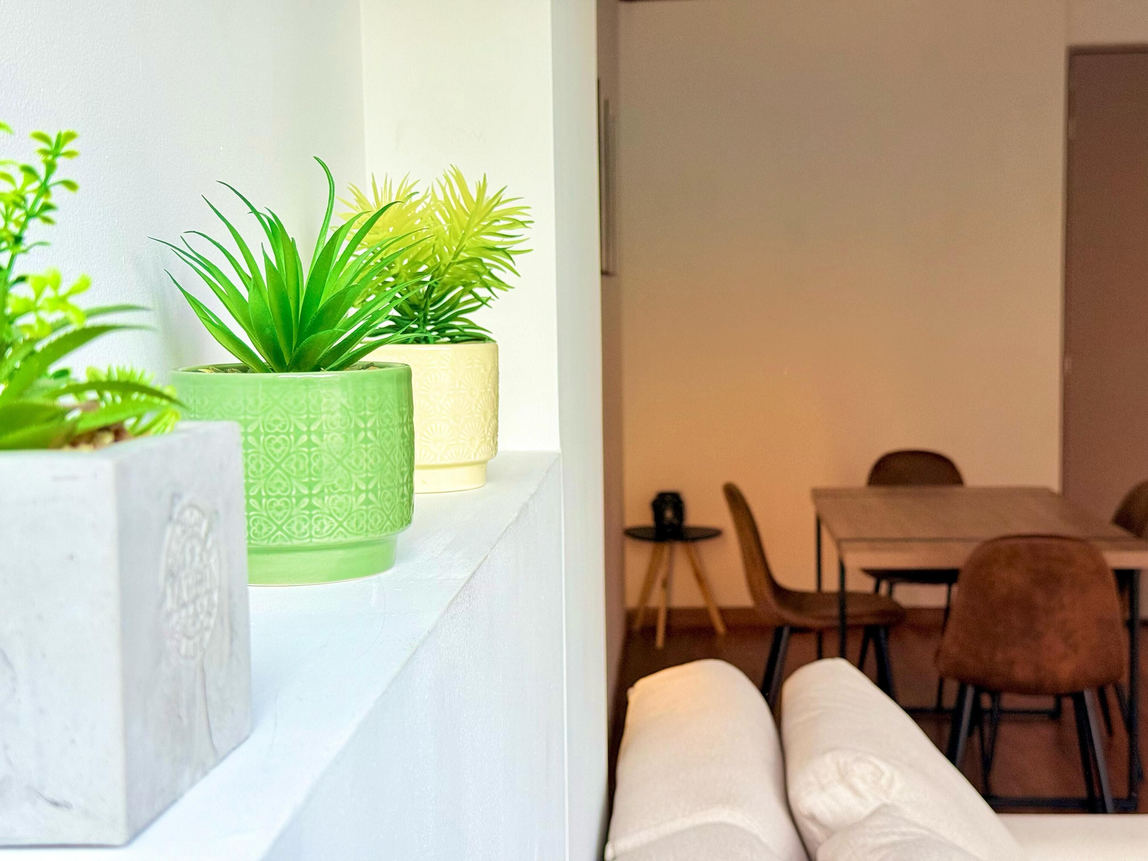 A modern dining area with a white table and chairs, a green plant in a patterned pot, and a white wall.