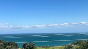 A coastal landscape with a clear view of the sea and power lines.
