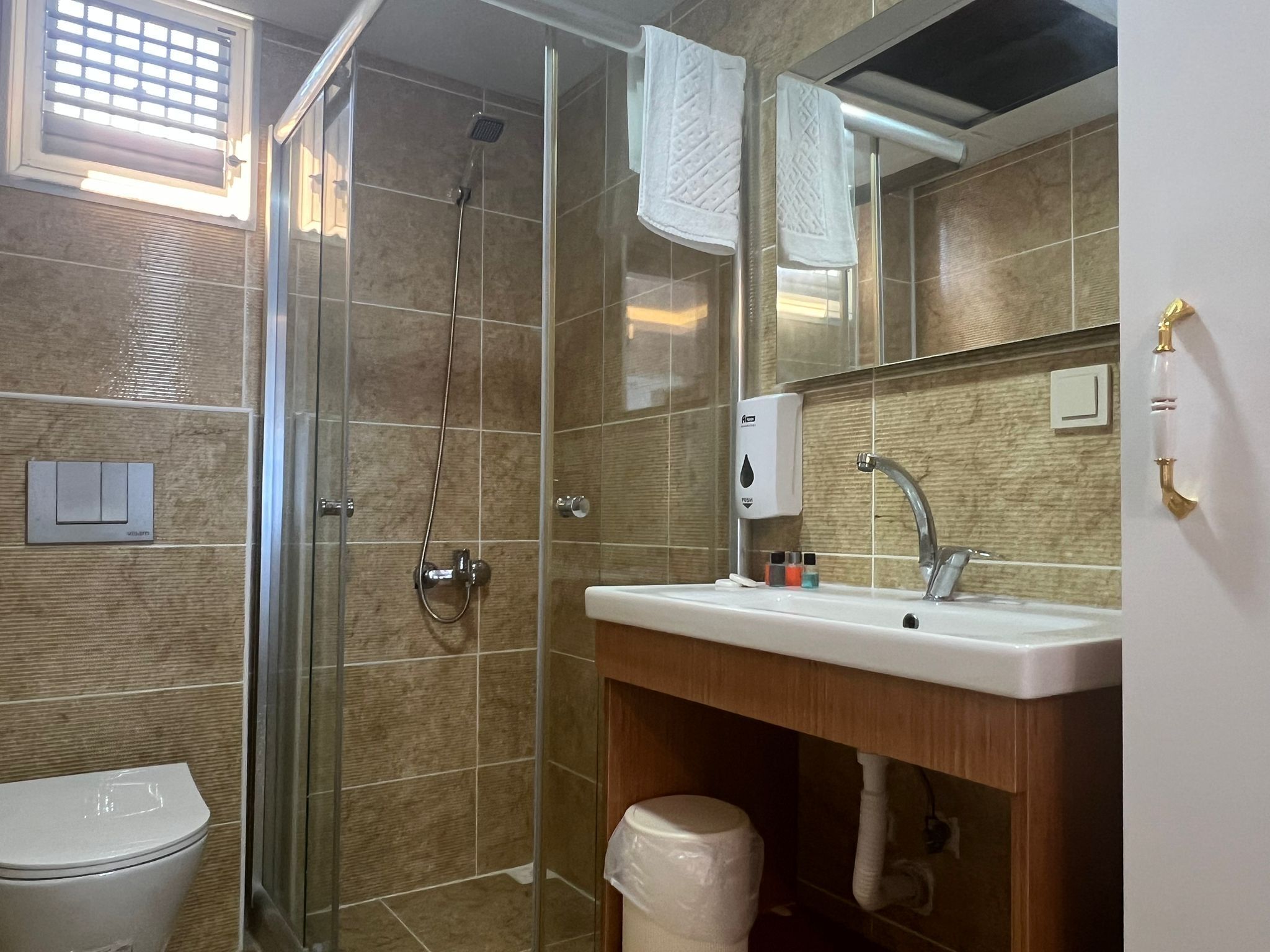Une salle de bain avec une douche à parois de verre, un lavabo blanc doté d’un distributeur de savon et des toilettes.