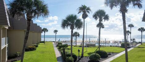 A beachfront property with a well-maintained lawn, palm trees, and a pool area.