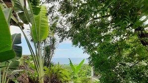 A lush garden with a variety of tropical plants and a stone pathway leading to a building. - LiRi Villa - Private villa with Magnificent ocean, jungle, valley view (Bali)