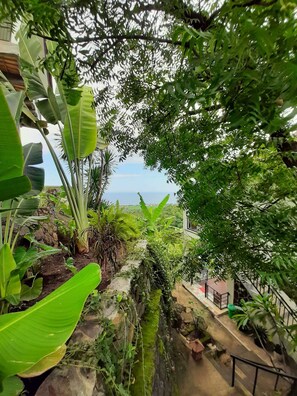 Property grounds - LiRi Villa - Private villa with Magnificent ocean, jungle, valley view (Bali)
