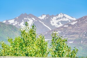 公寓 (1 Bedroom) | 住宿内部