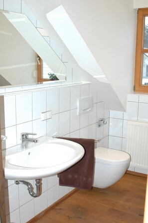 Dusche, Haartrockner, Handtücher