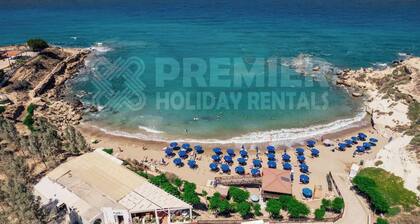 Villa Coral Summary: